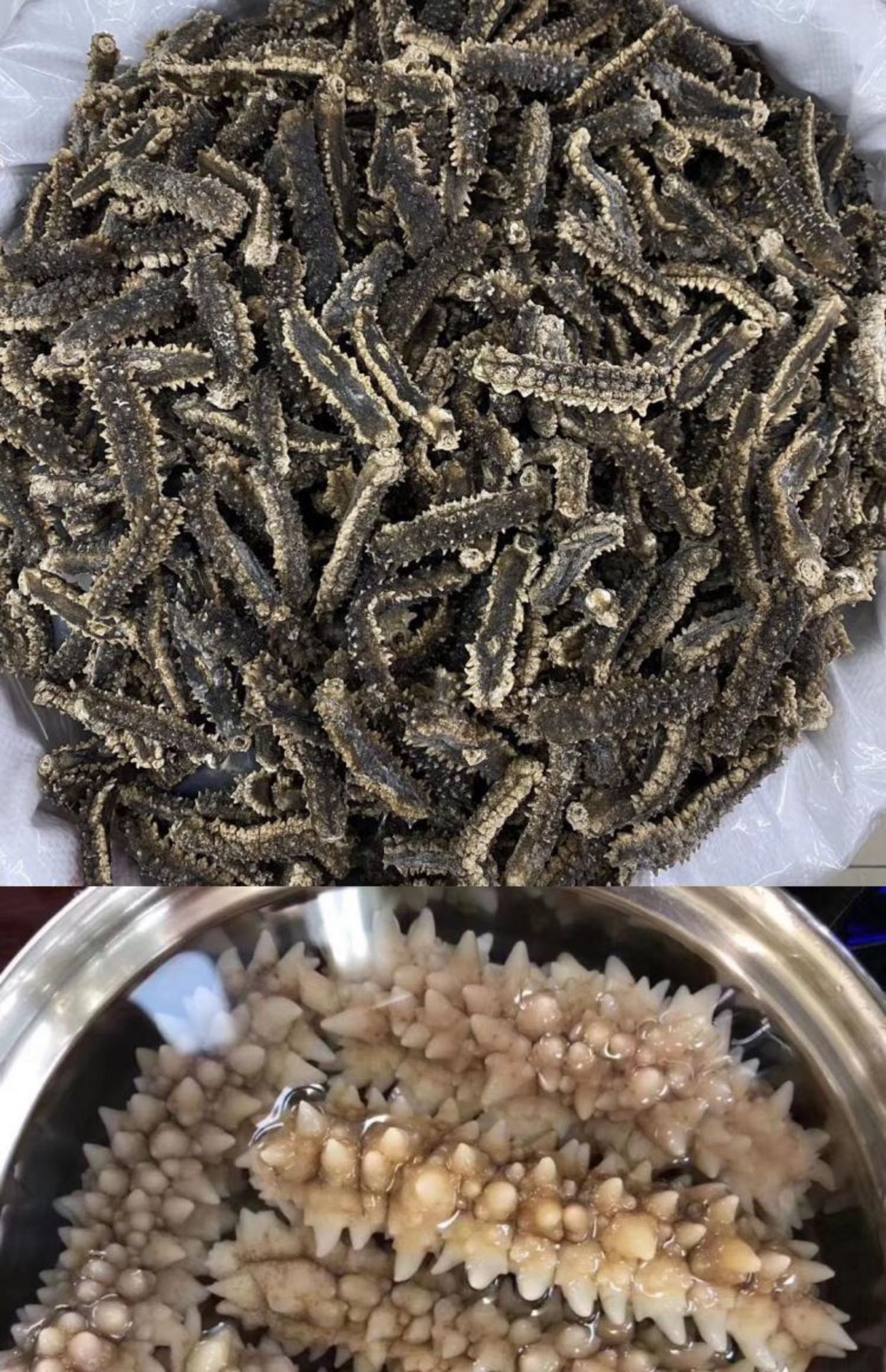 印尼刺参刺王参黑刺参纯淡干海参干货500g礼盒装送礼佳品一件代发