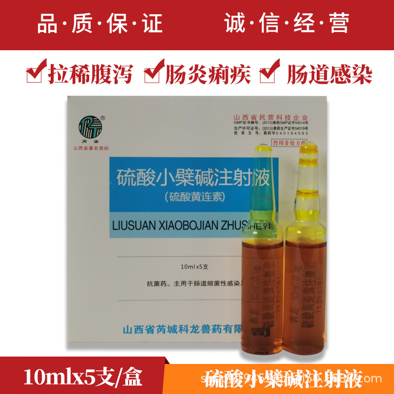 兽药硫酸小檗碱注射液 黄连素针剂 猪牛羊马拉稀肠炎痢疾腹泻