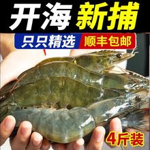 青岛大虾4斤鲜活新鲜特大海鲜水产虾子甜虾米冷冻非即食烤虾批发