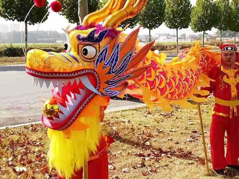 舞龙道具耍龙灯整套九节民俗龙优质成人儿童舞龙舞狮布龙龙头服装