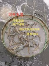 养虾料台水产养殖喂养虾白对虾龙虾观料台虾料台食料场