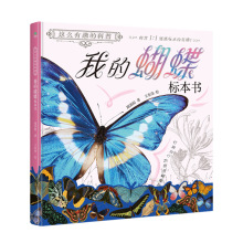 正版这么有趣的科普我的蝴蝶标本书赠送25个模型纸精装科普绘本