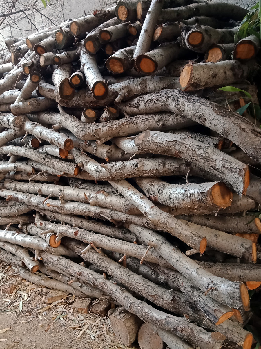 木雕桃木簪子原木手工练手料圆雕怀旧复古植物桃树雕刻家用干料