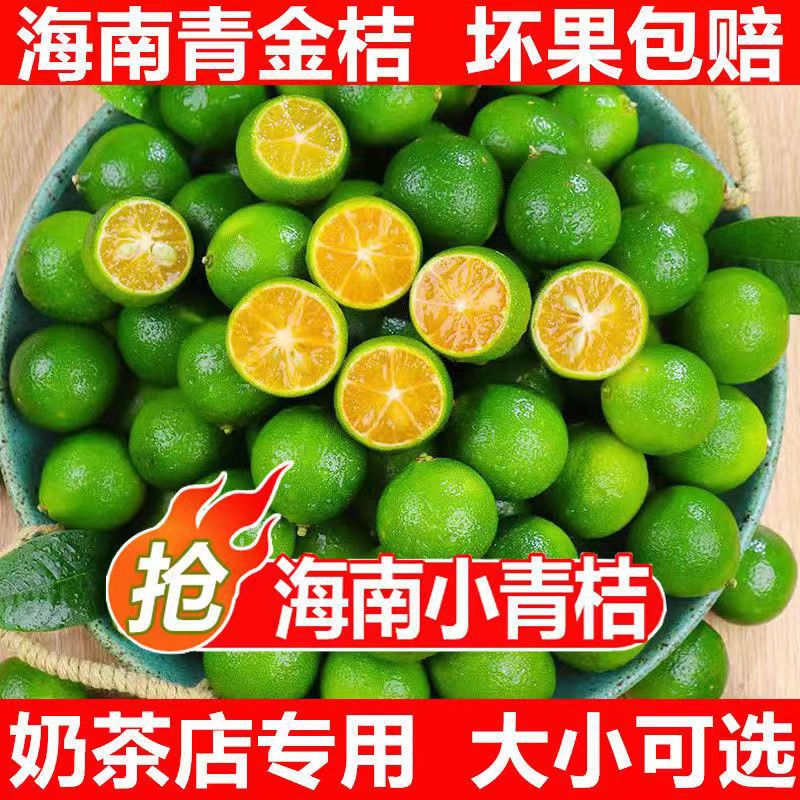 新鲜海南青柠檬小金桔奶茶店专用小金桔新鲜1/3/5斤装整件免邮
