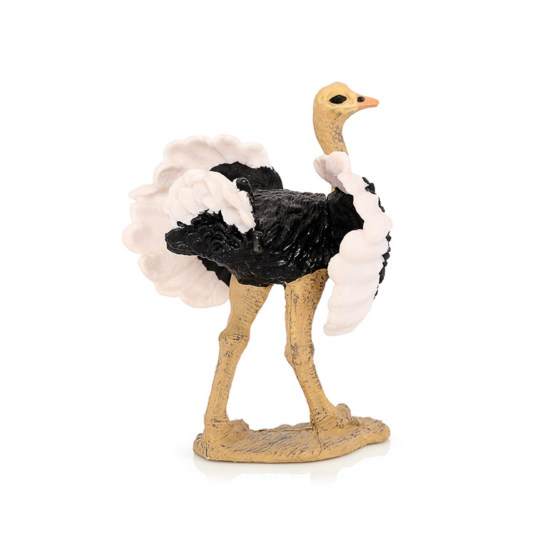 仿真动物模型静态实心飞禽鸟类动物玩具鸵鸟鸸鹋儿童认知摆件手办