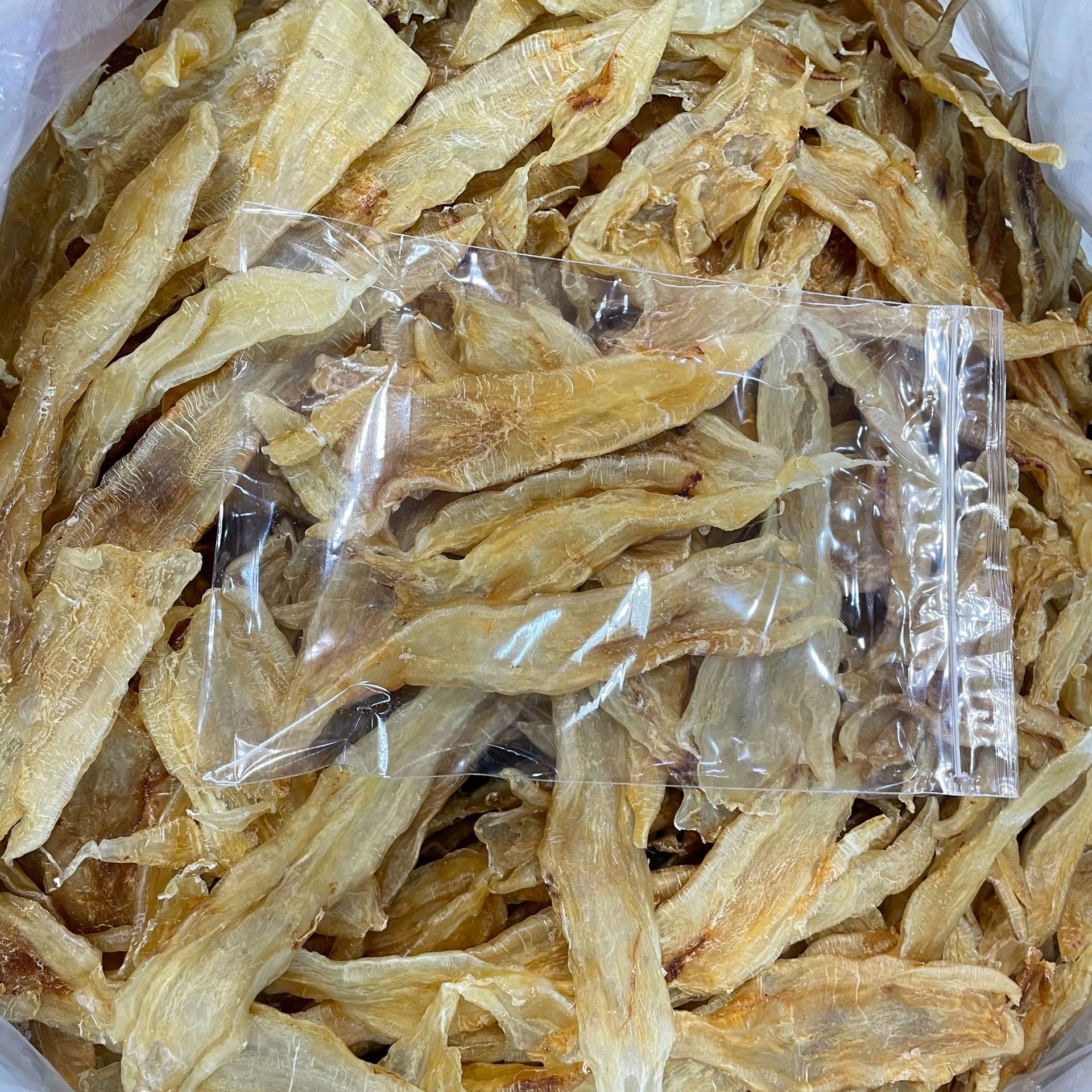 产地直批 鱼胶 海味干货 金龙胶鳘鱼胶 花胶 北海母滋补全国代发