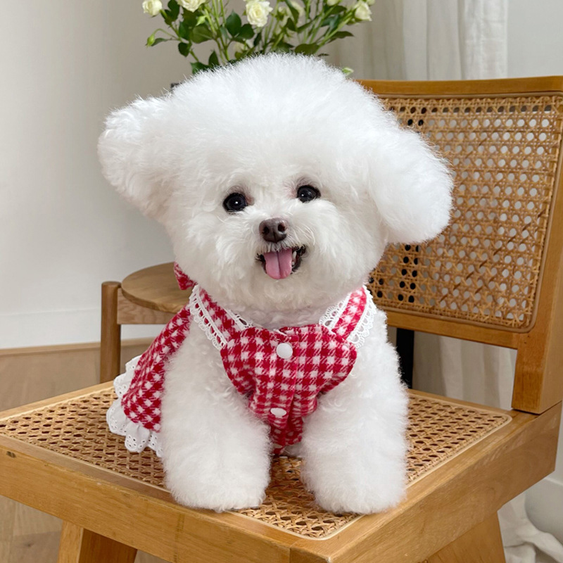 Pet Clothes Autumn and Winter New Warm Woolen Cardigan Princess Dress Teddy Bichon Dog Cat Traction Buckle Clothes