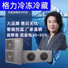 冰立方格力冷库制冷机组保鲜冷冻设备冷库全套设备冷库压缩机220V