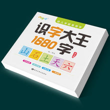 益智玩具婴儿幼儿学前识字3000字幼儿园小班一年级3-4-5-6岁幼升