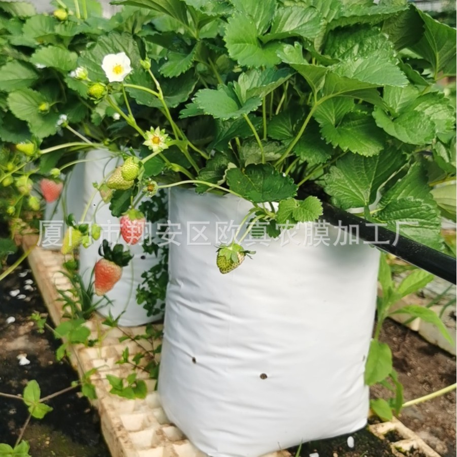 农场大棚种植袋 外白内黑无土栽培基质袋 美植袋 番茄草莓种植