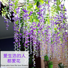 假花绿叶紫藤花豆花假树叶塑料藤蔓室内植物吊顶装饰树藤绿植