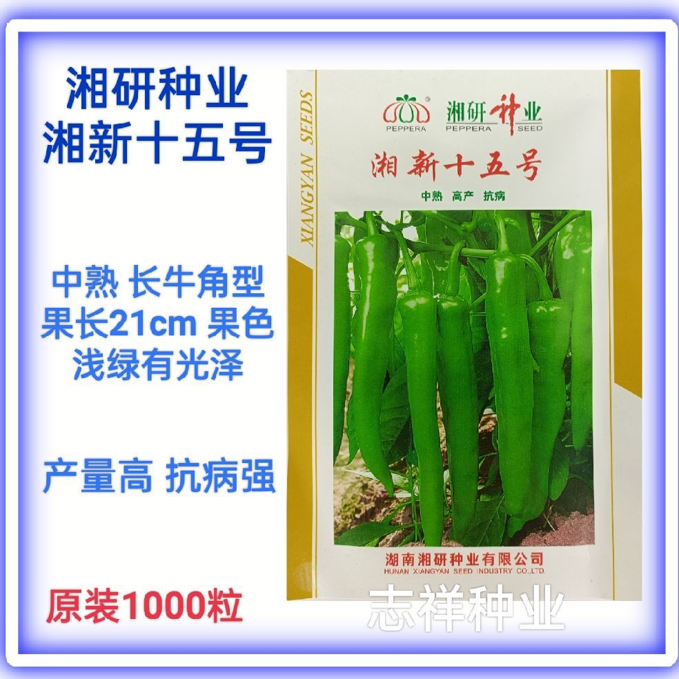 湘研种业 湘新十五号辣椒种子 中熟长牛角椒种籽果长约21cm1000粒