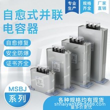 上海威斯康三相自愈式低压并联电力电容器BSMJ0.45无功补偿450V