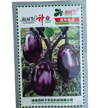 湘妹籽 湘早糯茄 紫红圆茄子种子 糯米茄子早熟高产卵圆形软糯5克
