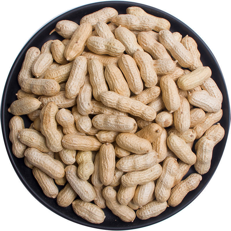 生花生批发红皮花生米带壳生的新鲜货2022年晒干炒熟血小板50g5斤