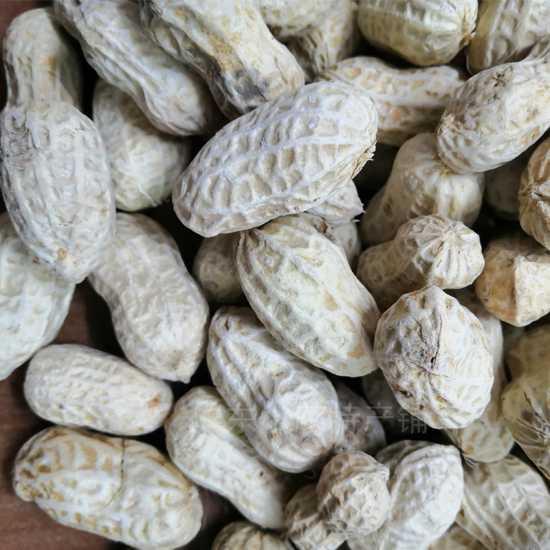 广东河源特产忠信花生500g散装水煮咸味咸干蒜蓉咸脆香脆花生坚果