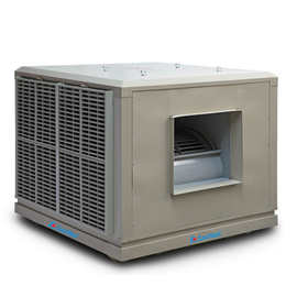 酷温特固定式冷风机通风机空调机养殖场食堂厨房冷库降温专用