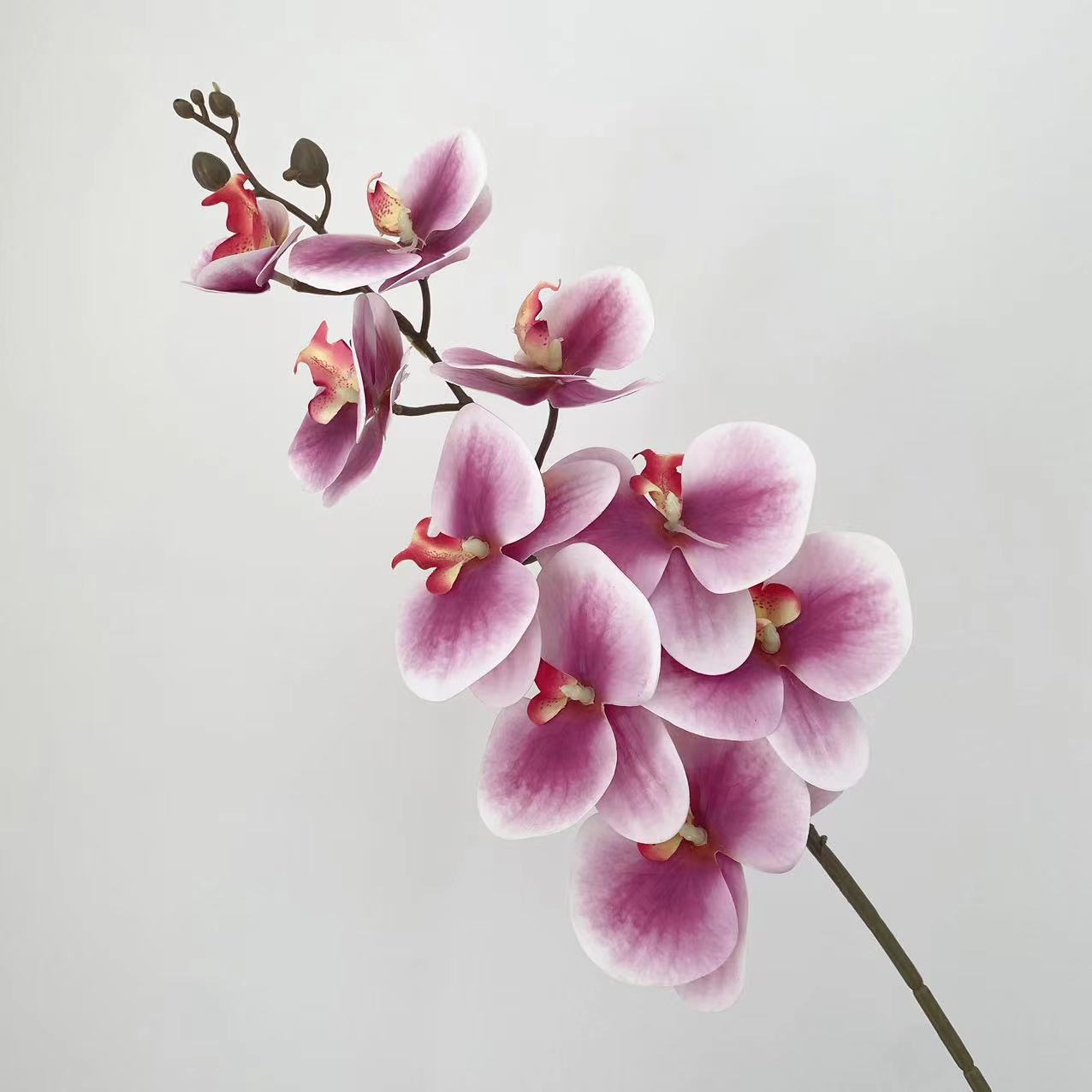 跨境3d打印9头蝴蝶兰仿真花胶片手感仿真花 婚庆花艺家居装饰假花