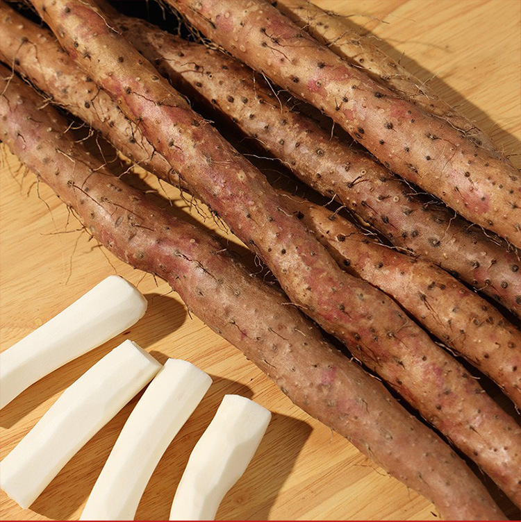 特选级5斤垆土铁棍新鲜山药河南焦作温县怀山药铁杆淮山药包-阿里巴巴