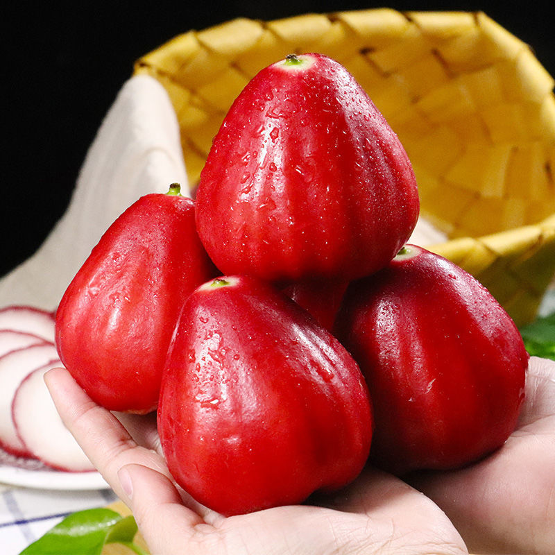 海南莲雾果黑珍珠特产水果新鲜热带红宝石莲雾现摘当季整箱包邮