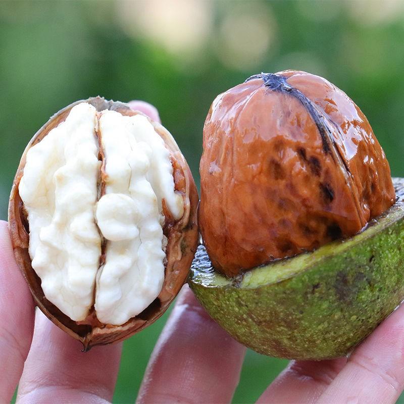 去青皮新鲜现货湿核桃现摘去绿皮野生嫩核桃孕妇坚果零食特产