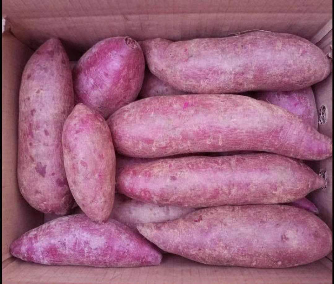 紫罗兰新鲜大紫薯地瓜农家自种紫心大紫番薯红薯五斤装包邮代发