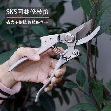 修枝剪sk5刀园艺剪刀果枝剪刀花枝剪园林剪批发强力不锈钢粗枝剪