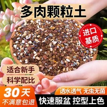 船长多肉专用营养颗粒土泥炭花土种植室内盆栽通用栽培土壤铺面洪