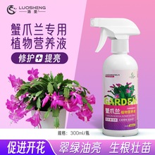 蟹爪兰专用植物营养液促进植物根茎叶健康生长促进花开生根壮苗