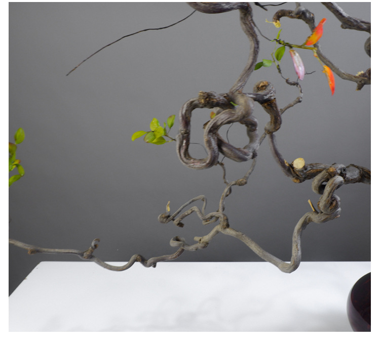 龙枣干枝装饰树枝玄关弯曲枝条龙须枣枝条鸟蹬插花工艺