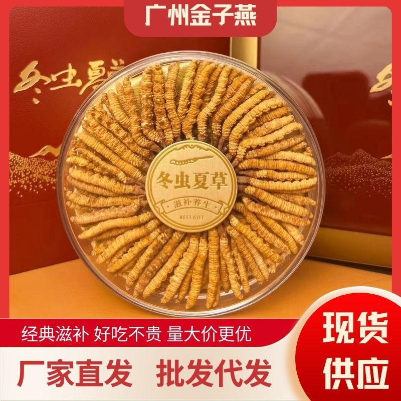 冬虫夏草 冻干虫草送礼好物泡酒好料东阳光虫草 干虫草批发代发