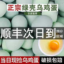 乌鸡蛋农家散养新鲜绿壳农村草鸡蛋40枚无绿皮土鸡蛋柴鸡蛋