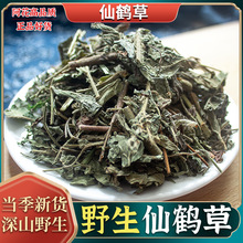 仙鹤草中药材500g克新鲜晒干仙鹤草茶正品龙芽草脱力草狼牙草