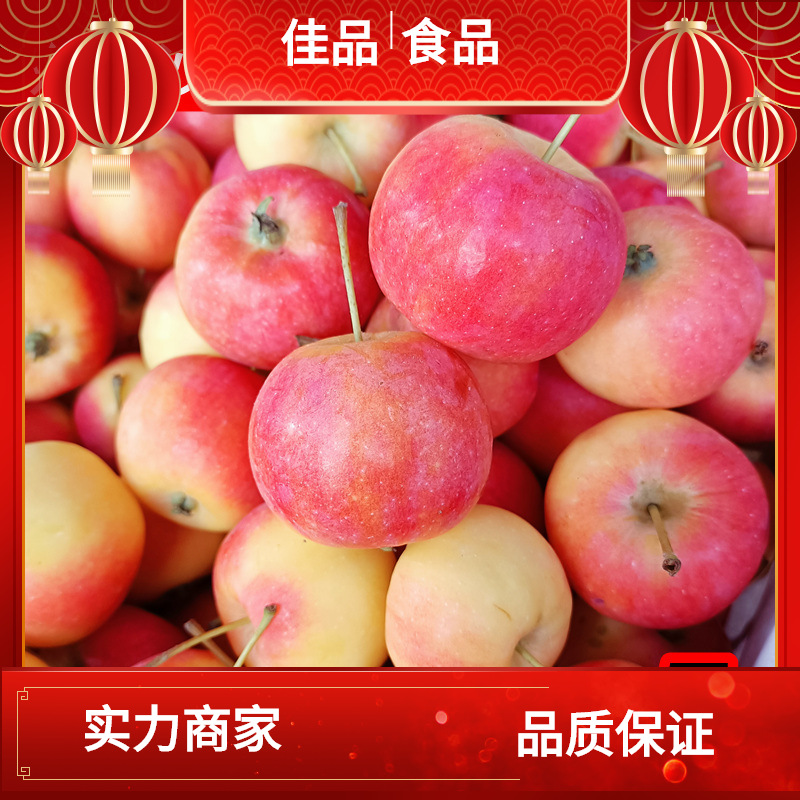 东北特产沙果海棠果甜酸当季鸡心果5斤新鲜水果糖心小苹果龙丰果