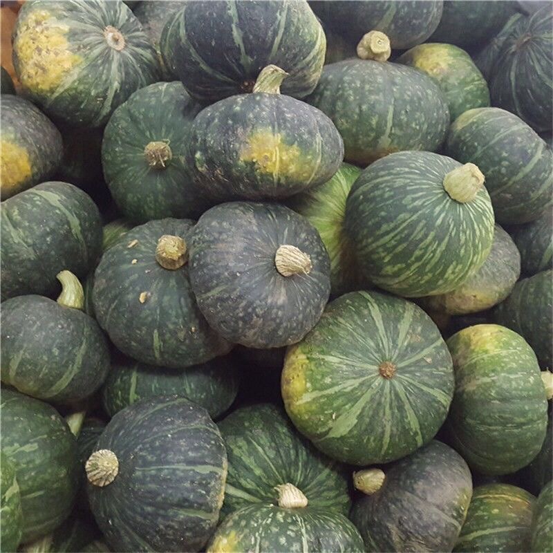 包邮东北特速冻谢花面南瓜栗南瓜窝瓜速冻窝瓜-阿里巴巴