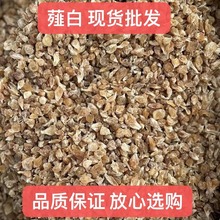 薤白中药材批发薤白 小根蒜 无硫天然薤白 野生蒜 规格齐全量大价