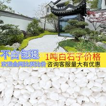 白色鹅卵石园林景观鱼缸造景雪花白枯山水多肉盆栽石头白石子