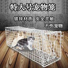 捕猫笼捉猫大号猫狗人道救助笼寻猫笼捕鼠笼龙猫折叠捕猫笼