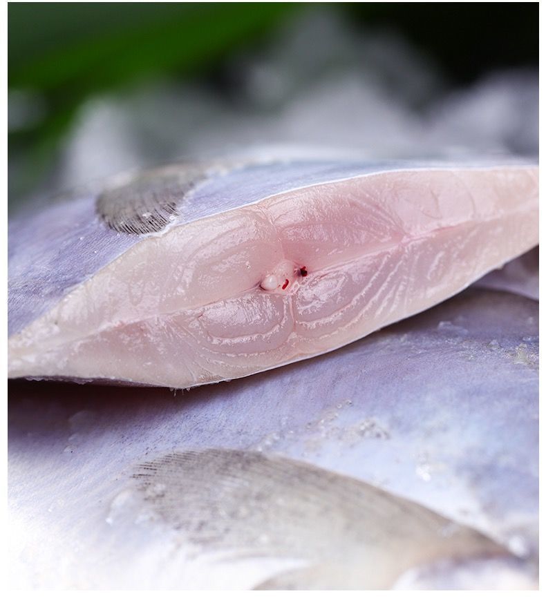 海捕银鲳鱼舟山新鲜白鲳鱼扁鱼平鱼海鱼鲜活冷冻水产6斤海鲜