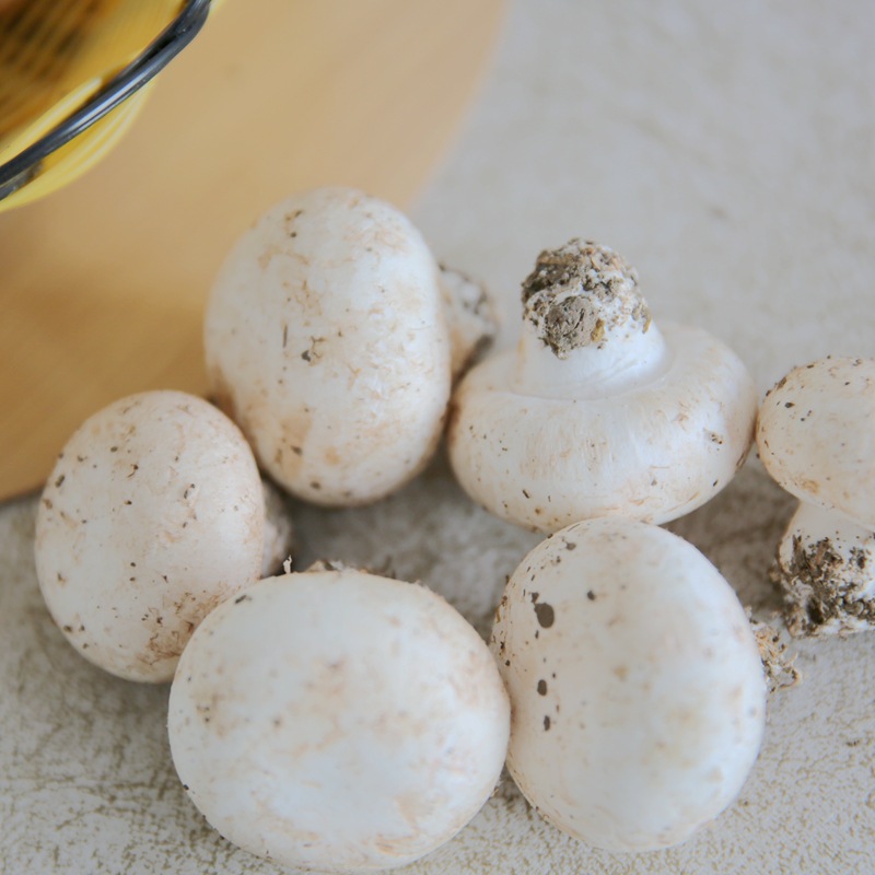 云南野生菌手青-云南野生菌手青厂家,品牌,图片,热帖-阿里巴巴