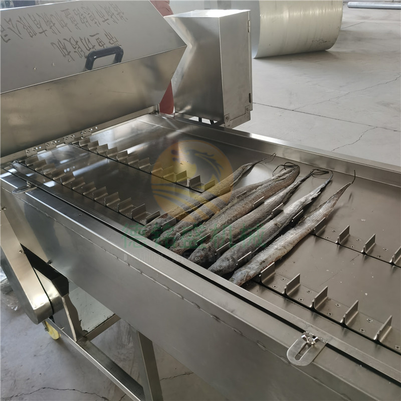 刀片加护罩的冻带鱼切段机 资源县冰冻刀鱼切断机 自动输送切割机