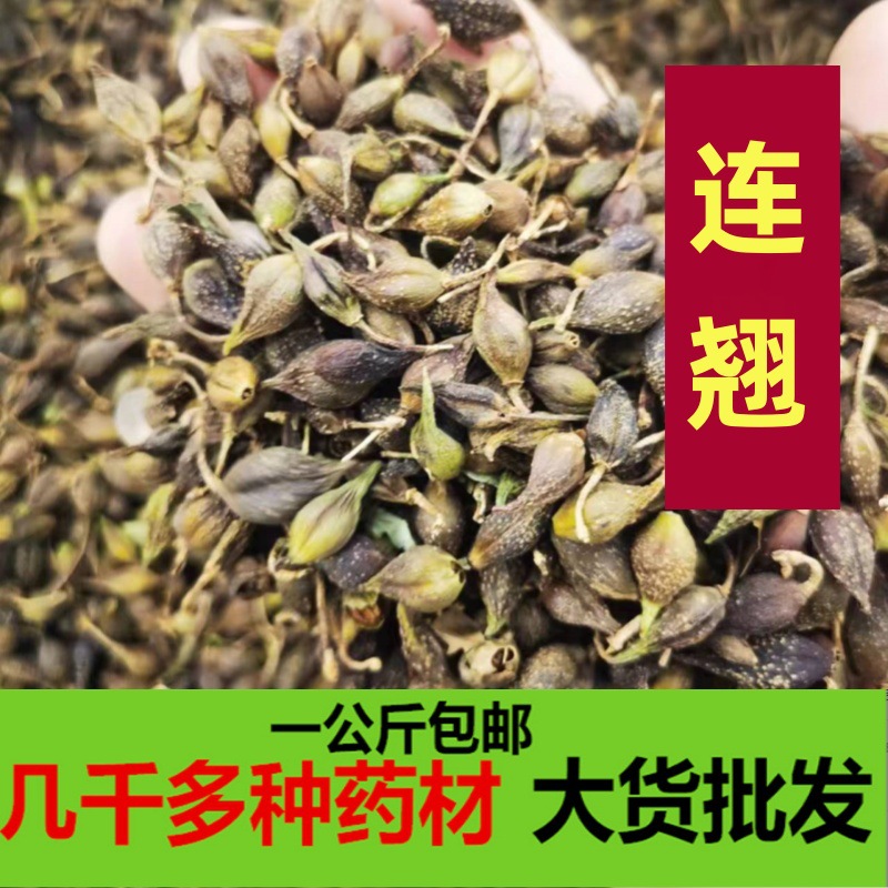 连翘中药材新货天然翘壳贯叶连翘生青翘 连翘茶 连翘粉一公斤包邮