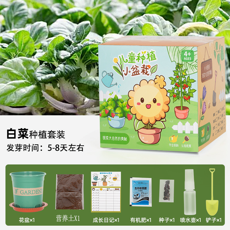 Children's Planting Pot Primary School Student Plant Germination Mini Observation Science Box Diy Kindergarten Tree Planting Festival Gift