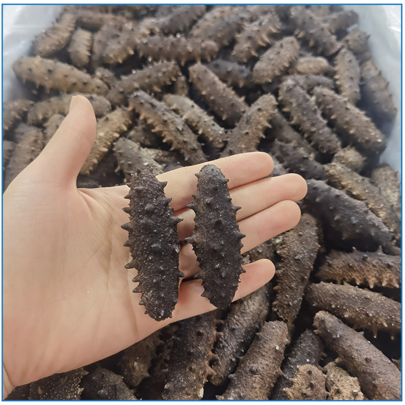 年货大连冻干海参干货礼品250克 大连冻干海参礼盒装批发