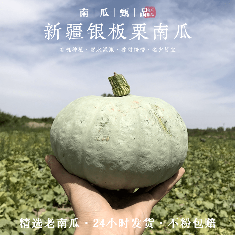 新疆粉糯香甜新鲜蔬菜金丝栗瓜甜南瓜现摘板栗丑瓜老南瓜_阿里巴巴找