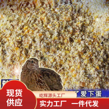 鹌鹑饲料五斤产蛋鹌鹑饲料无激素无抗生素鹌鹑饲料饲料厂家直销