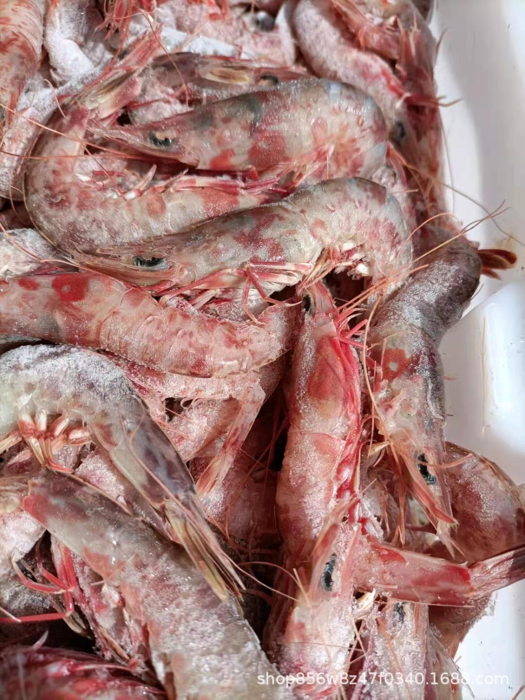 舟山野生船冻虾 铁壳虾 樱花虾 10kg