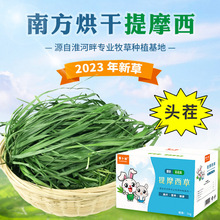 萝卜谷2023年头茬烘干南方提草提摩西草兔子干草龙猫豚鼠牧草饲料