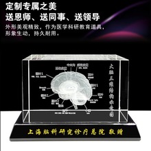 水晶内雕大脑模型医学教学道具展示摆件人体心脏器官骨骼毕业礼品