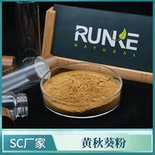 黄秋葵粉 99% 黄秋葵生粉 黄秋葵提取物 浓缩粉 量大从优